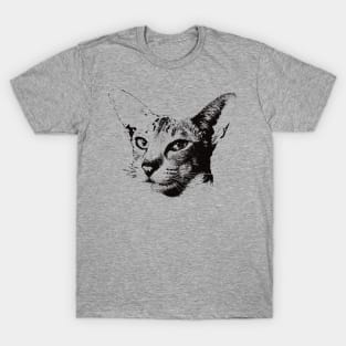 Oriental gift for Oriental Shorthair Owners T-Shirt